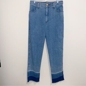 R.G. Kane Jeans Womens Size 10 High Waist Fray Raw Hem Denim Pants USA Made Boho